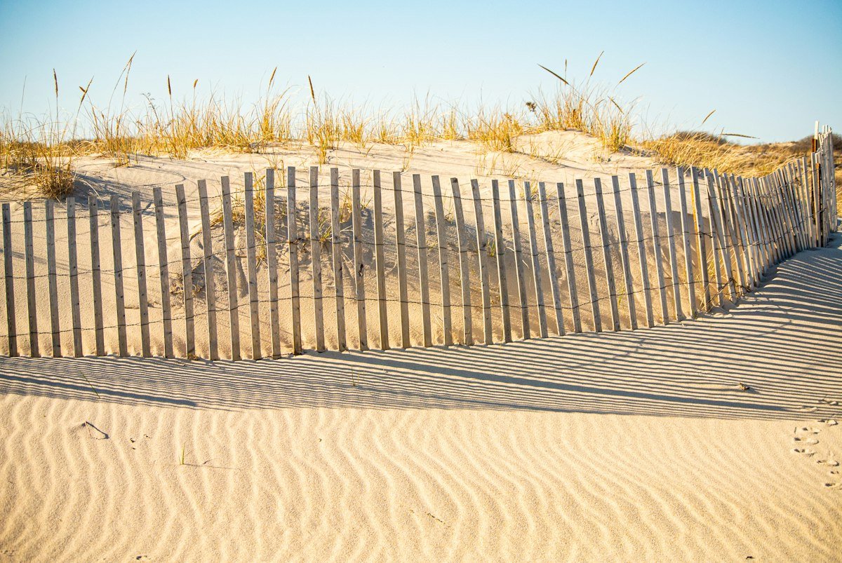 Contextual photograph: a wooden sand fence on a dune, with fine wind-rippled sand in the foreground.